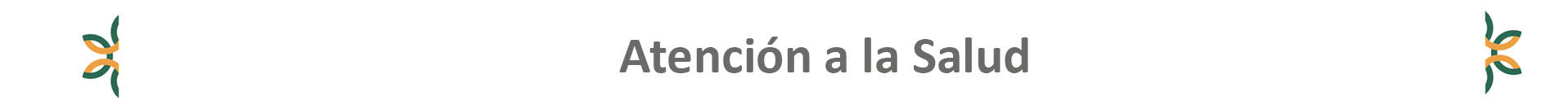 Servicio Social