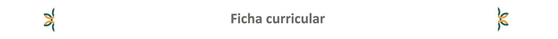 Ficha Curricular