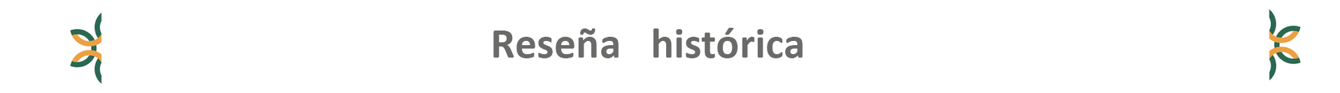 Reseña Histórica